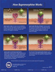 How does buprenorphine (Suboxone) work?